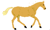 Animated STICKER