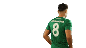 Football Sport Sticker by HSC Hannover