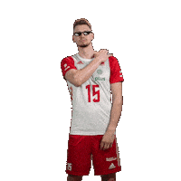 Kochan Sticker by Polska Siatkowka