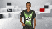 Football Soccer GIF by Bundesliga