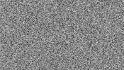 event tsoh GIF by The School of House