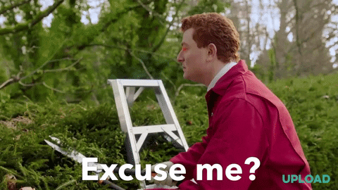 Excuse Me What GIF by Amazon Prime Video