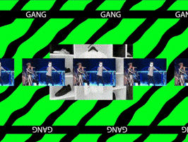 GIF by Zoomer