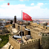 Flag Drone GIF by TRT