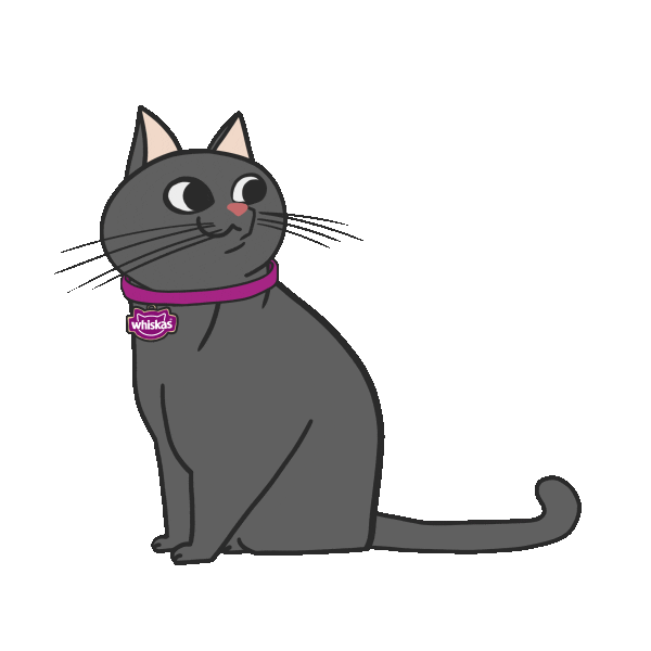 Cat Racao Sticker by Whiskas Brasil