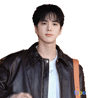 Idol Korea Sticker by koreadispatch
