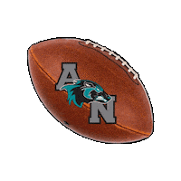 AlisoNiguelFootball fridaynightlights anhs aliso football anfootball Sticker
