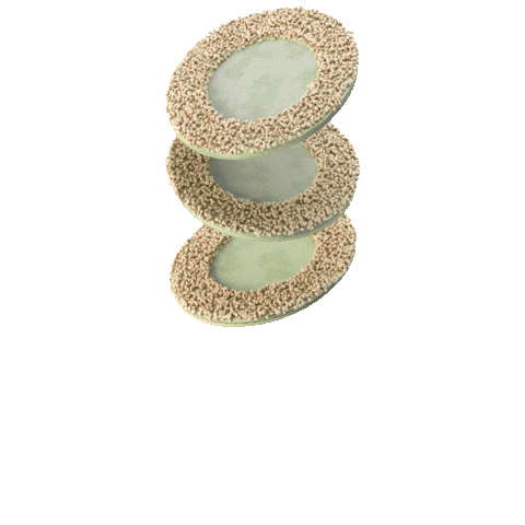 Chocolate Matcha Sticker by Chocko-Obleas