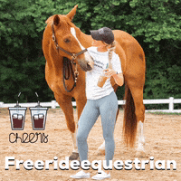 freerideequestrian coffee horse starbucks equestrian GIF