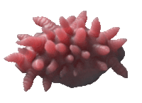 worms squiggle Sticker