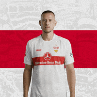 Waldemar Anton Love GIF by VfB Stuttgart