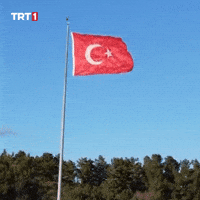 Turkey Turkish GIF by TRT
