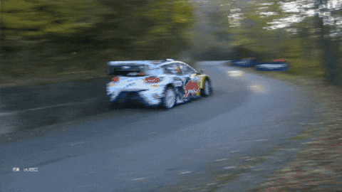 Driving Bye Bye GIF by FIA World Rally Championship