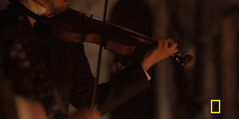 GIF by National Geographic Channel