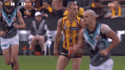 GIF by Hawthorn Football Club