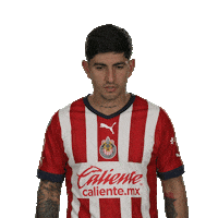 Chivas Telemundodeportes Sticker by Telemundo