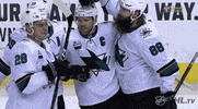nhl sports hockey nhl ice hockey GIF