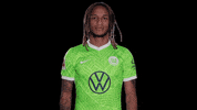 Lets Go Reaction GIF by VfL Wolfsburg