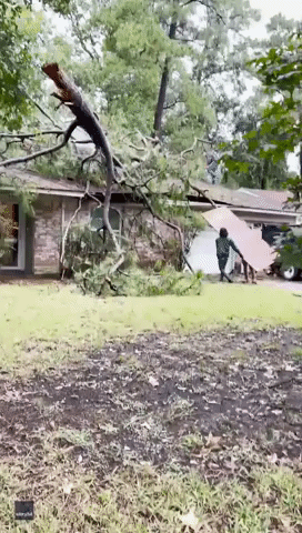 Tree Falls on Houston House During Hurricane Nicholas