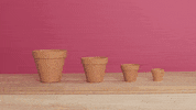 Pink Spring GIF by rustoleum