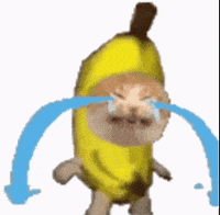 Sad Cat GIF
