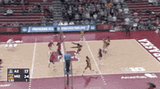 ncaasports ncaa volleyball tigers missouri GIF