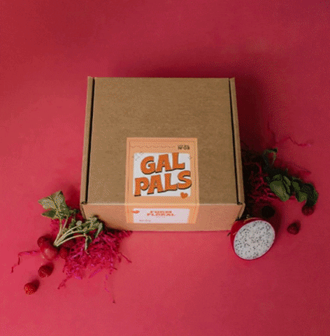 kayleenedley giphygifmaker GIF