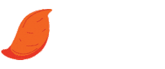 101beforeone blw baby food baby led weaning baby led feeding Sticker