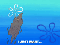 season 6 boating buddies GIF by SpongeBob SquarePants