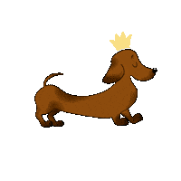Happy Sausage Dog Sticker