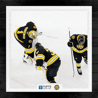 Boston Bruins Hockey GIF by Providence Bruins
