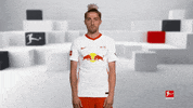 Posing Line Up GIF by Bundesliga