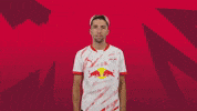 Come On Sport GIF by RB Leipzig