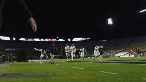 Celebration GIF by Rutgers Football