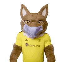 Mask Mascot Sticker by Nashville SC