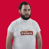 Nene Cesko GIF by Penam