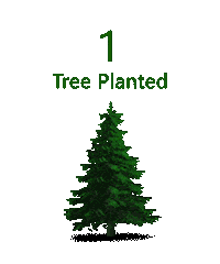 tree plant Sticker by NIKIN