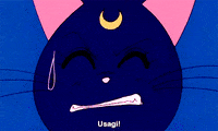 Sailor Moon Luna GIF