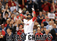 GIF by FOX Sports: Watch. Enjoy. Repeat.