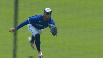 Blue Jays Mlb GIF by Toronto Blue Jays