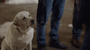 Fun Singing GIF by Hallmark Channel
