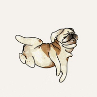 jankamajama  GIF