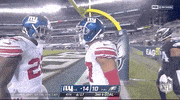 Regular Season Football GIF by NFL