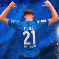 Sport Bundesliga GIF by TSG Hoffenheim
