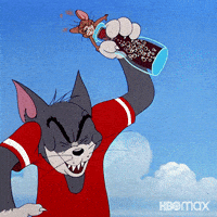Chasing Tom And Jerry GIF by HBO Max