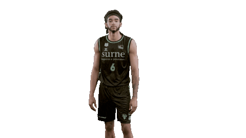 Liga Endesa Basketball Sticker by ACB