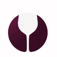 villamichelon hotel turismo vinho brinde GIF