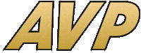 sport beach volley Sticker by AVP Pro Beach Volleyball Tour
