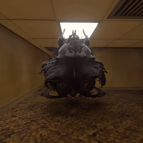 Monster Fish GIF by Komplex