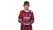 Hdh Sticker by Bundesliga